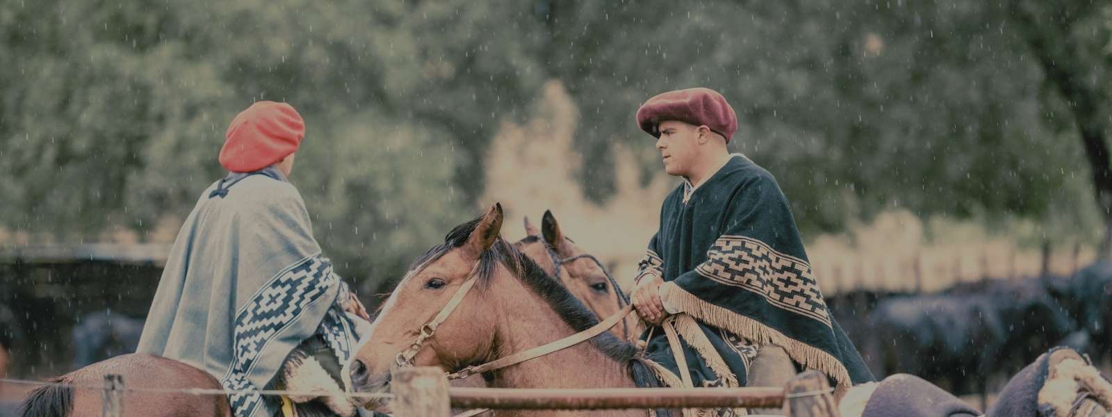Masculino - Vestuário