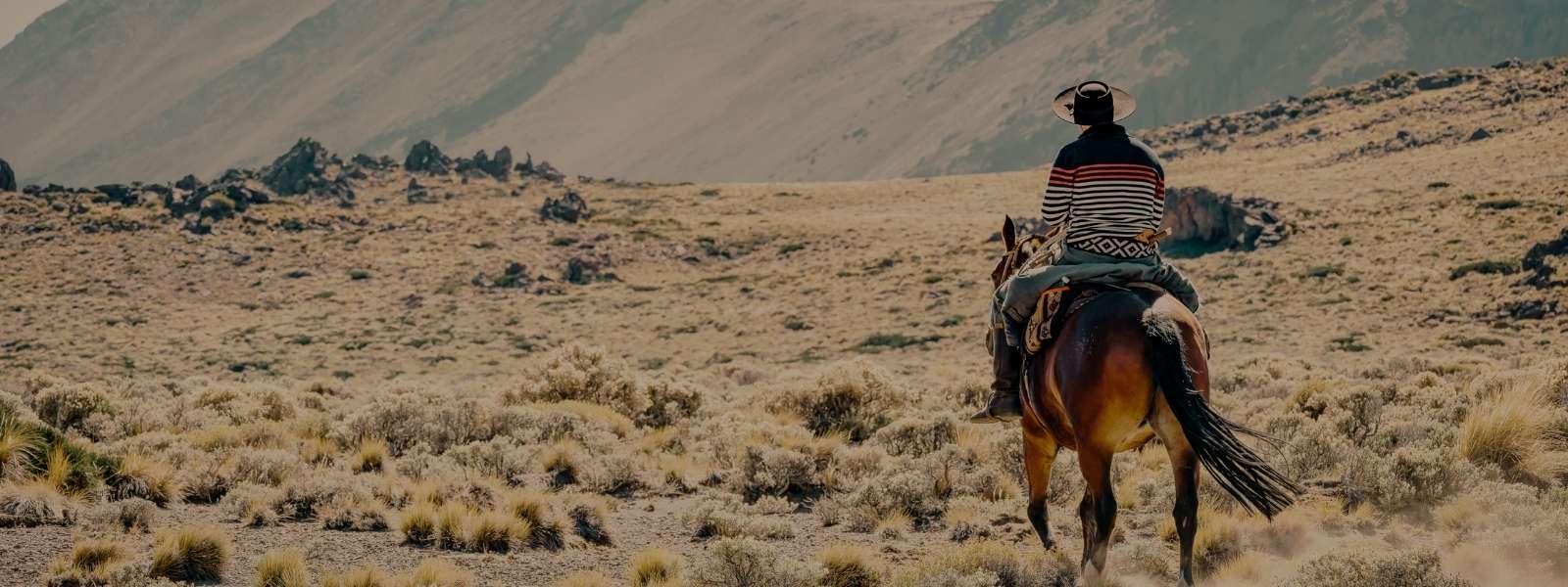 Masculino - Acessórios - Carteiras