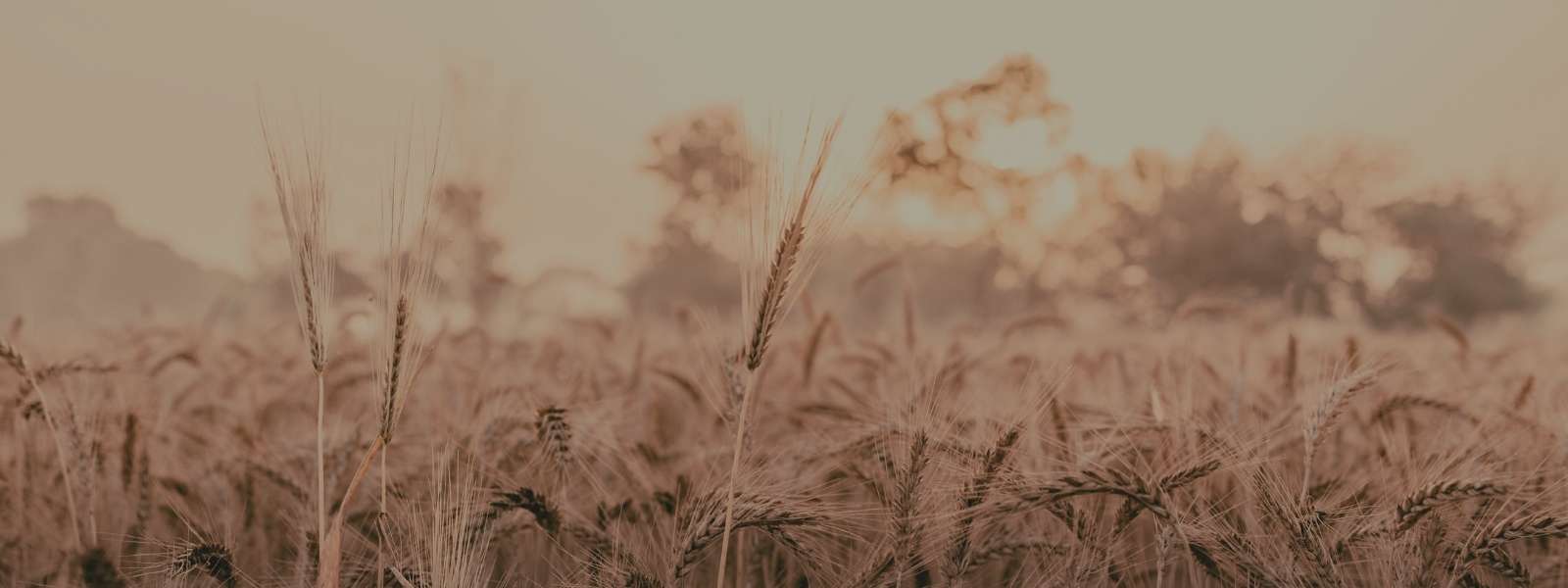 Acessórios - Cordões