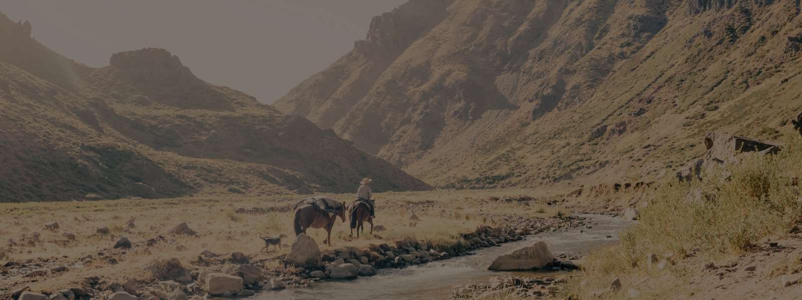 Acessórios - Carteiras