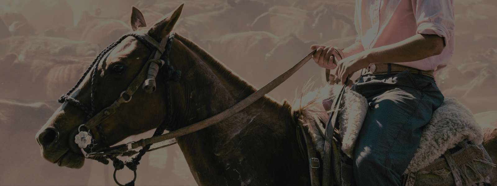 Botas - Home - Masculino