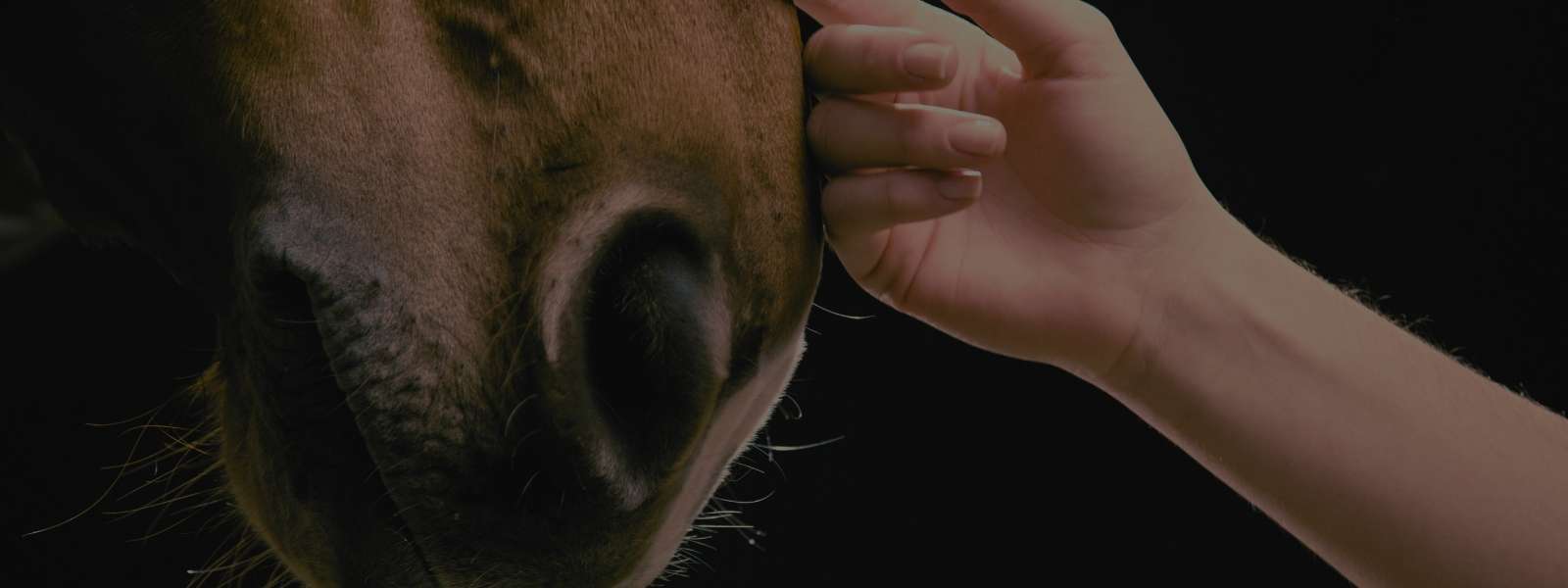 Feminino - Calçados - Botas Salto Alto