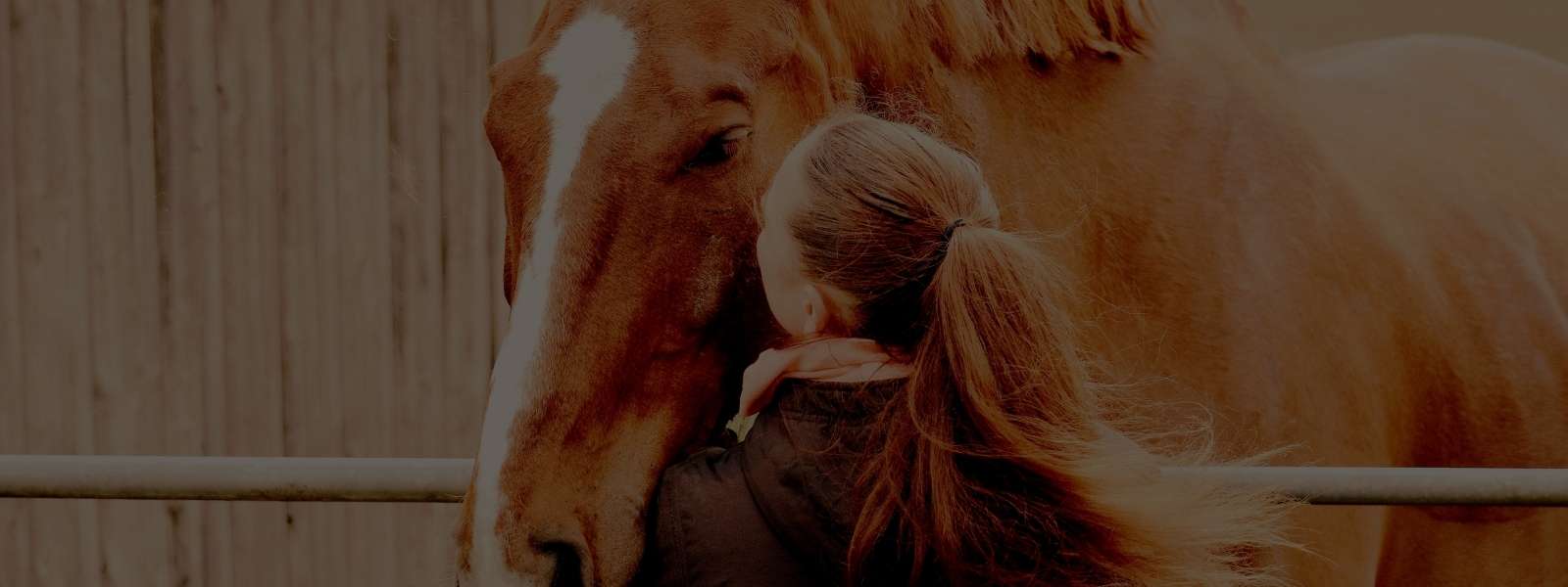 Feminino - Vestuário - Calças