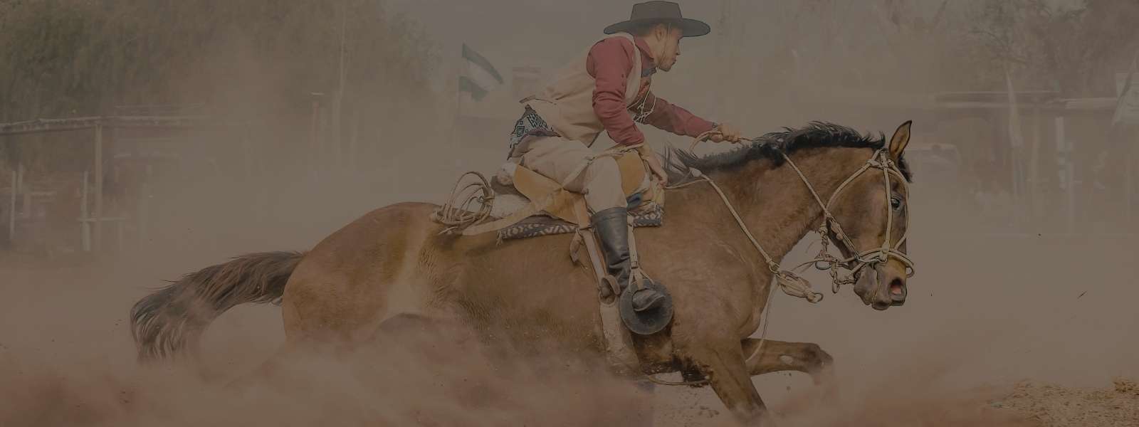 Masculino - Acessórios - Cintos