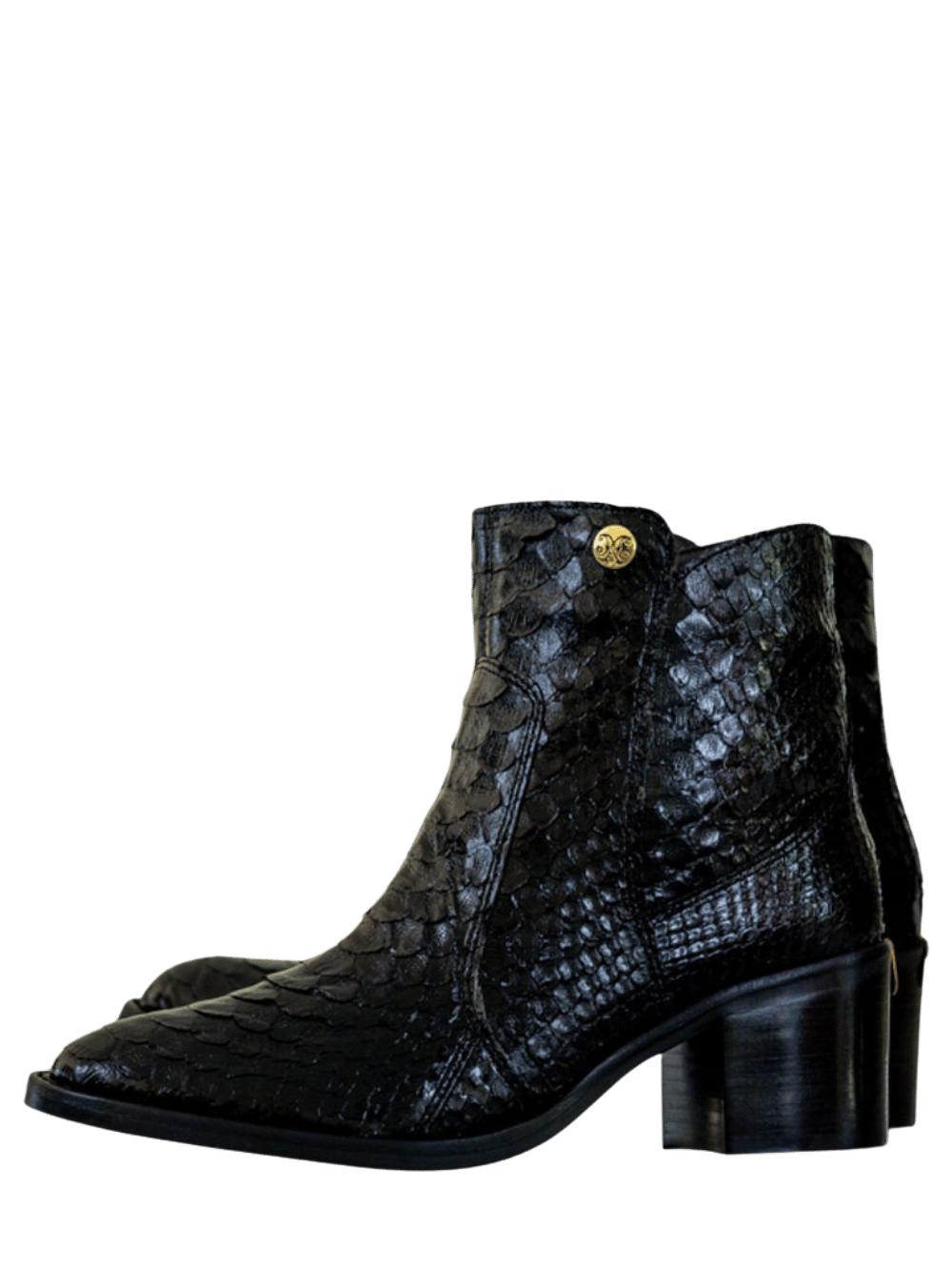 Bota Compay Amazonas Python