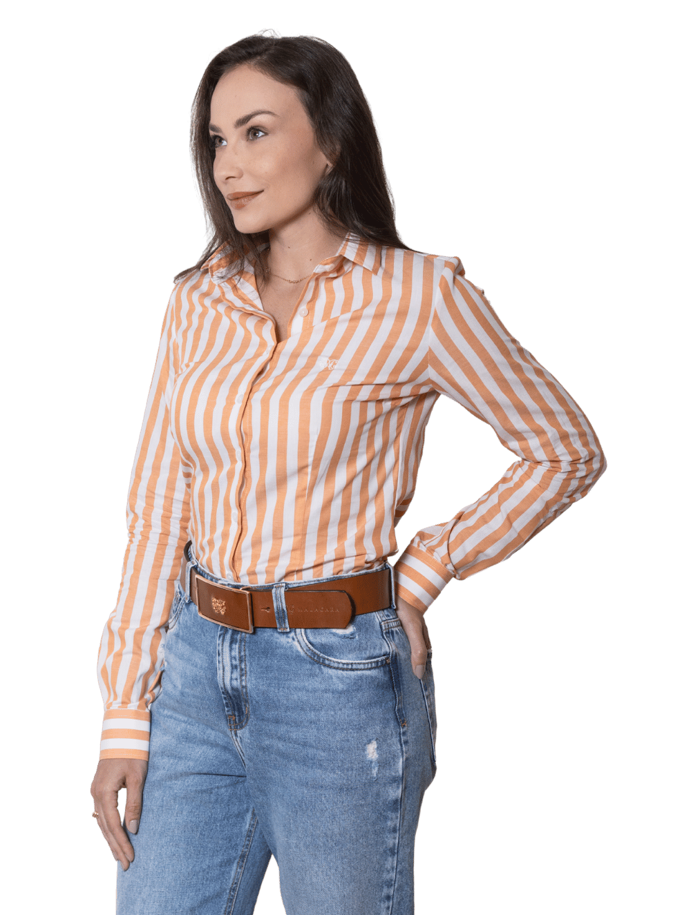 Camisa Algodão Hortênsia Listras